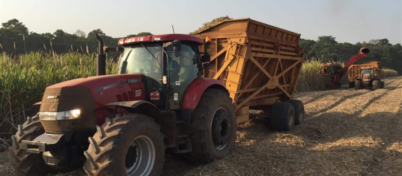 Driving Africa’s Growth: SOMDIAA chooses Case IH for its Cameroon Sugar Cane Plantations